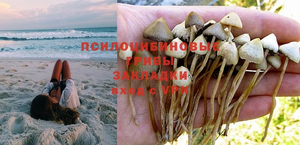 ПСИЛОЦИБИНОВЫЕ ГРИБЫ Беломорск