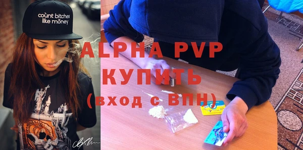 прущие грибы Пересвет