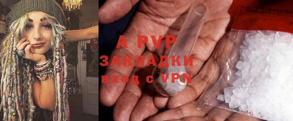 прущие грибы Пересвет