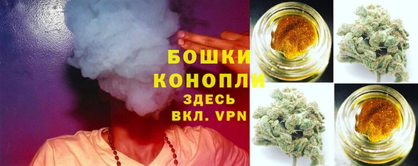прущие грибы Пересвет