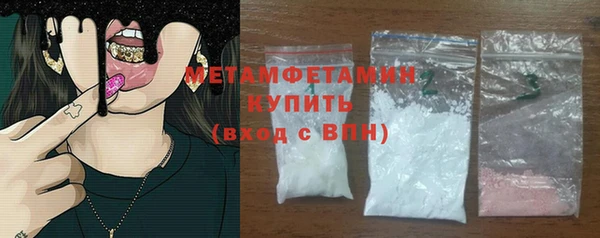 прущие грибы Пересвет